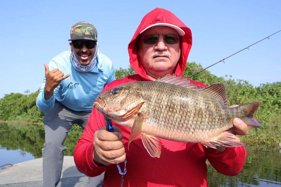Pesca guiada en estero con Tellos Fishing