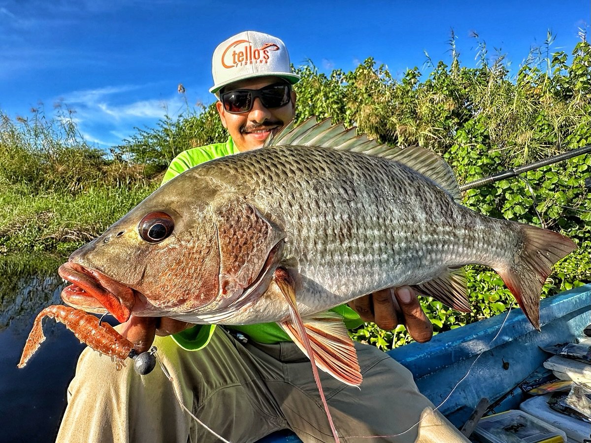 Pesca en estero con recorrido en lancha de la expedición Estero Gigante